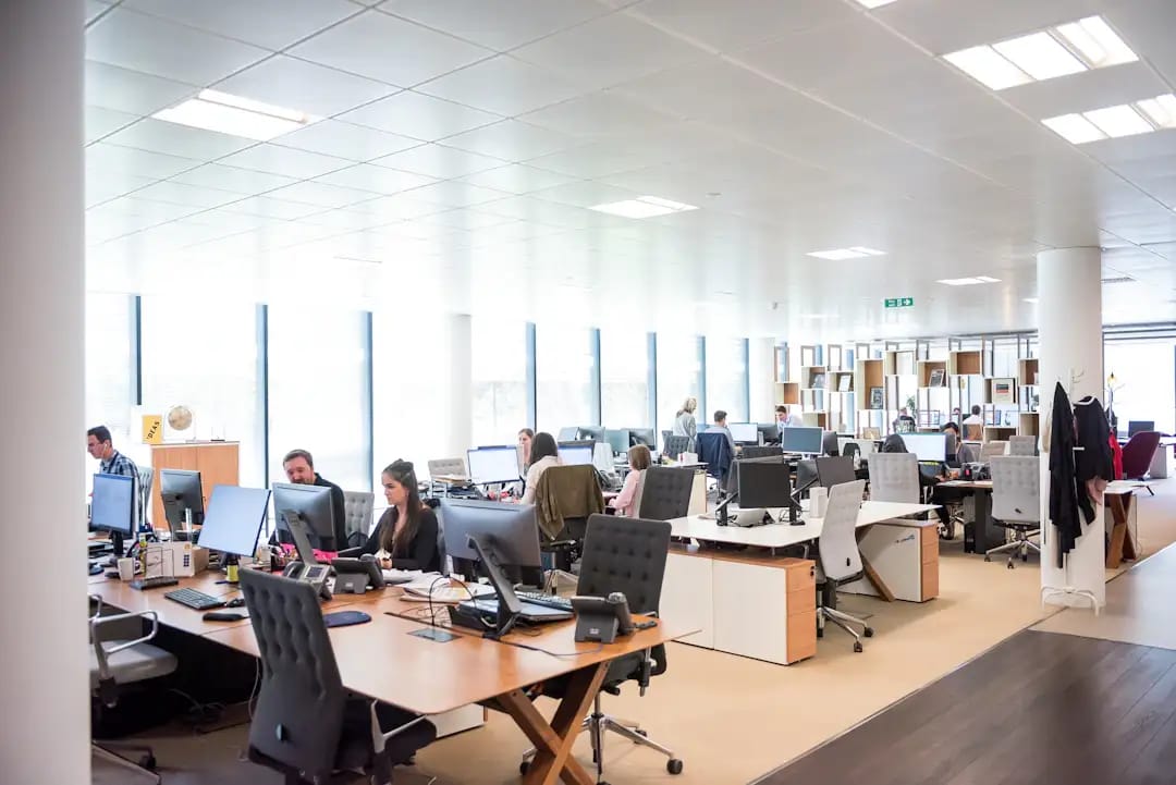 Two people working at computers in a bright open plan office
