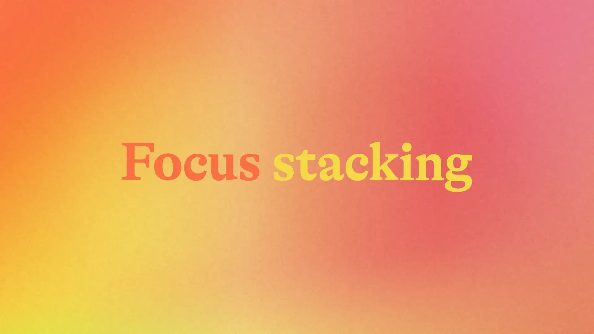 Focus Stacking im Makrobereich Schritt für Schritt erklärt