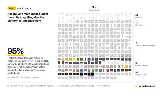 Allegro: 356 main images under the white magnifier, after the platform re-encodes them