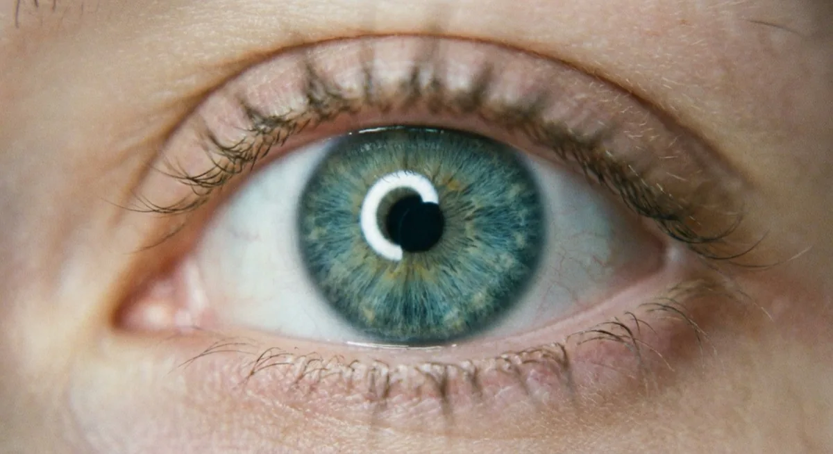 ring light - circular catchlight in an eye, the signature ring light reflection