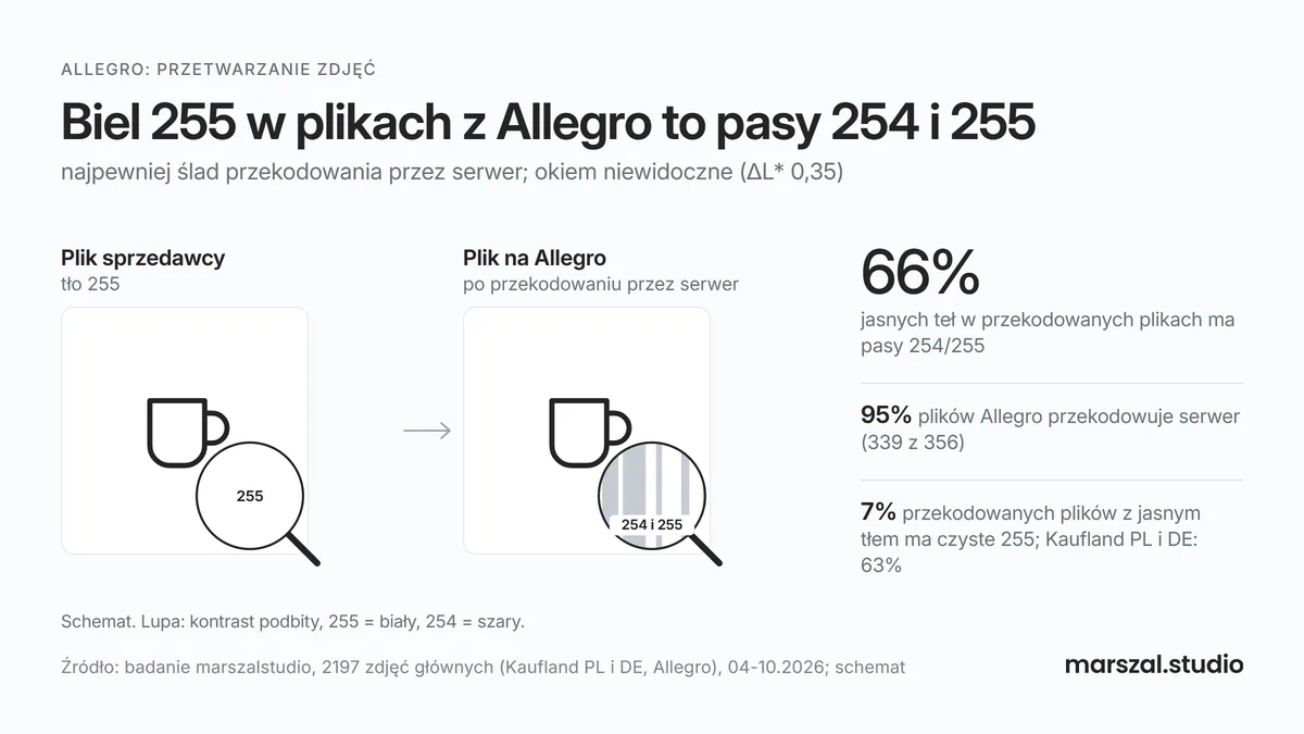 Biel 255 w plikach z Allegro - pasy 254 i 255 po przekodowaniu, niewidoczne dla oka