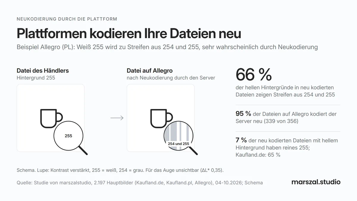 Neukodierung durch die Plattform: Weiß 255 in Dateien vom polnischen Marktplatz Allegro wird zu Streifen aus 254 und 255, für das Auge unsichtbar