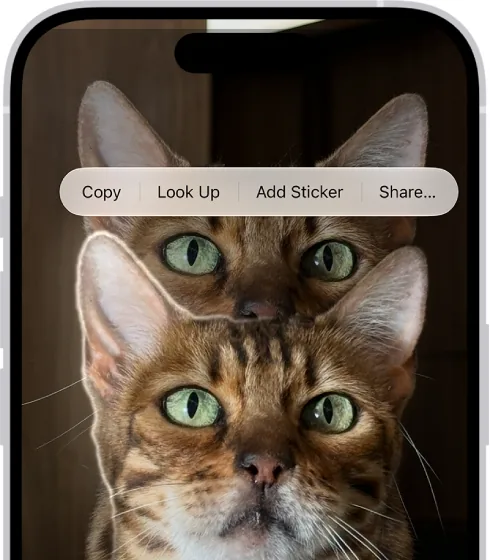 Usuwanie tła na iPhonie: obiekt na zdjęciu obrysowany po przytrzymaniu, nad nim menu Kopiuj i Dodaj naklejkę